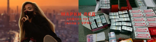 шишки Алзамай