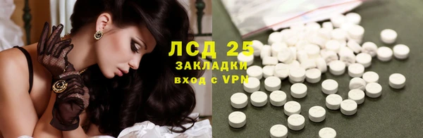 дживик Абинск
