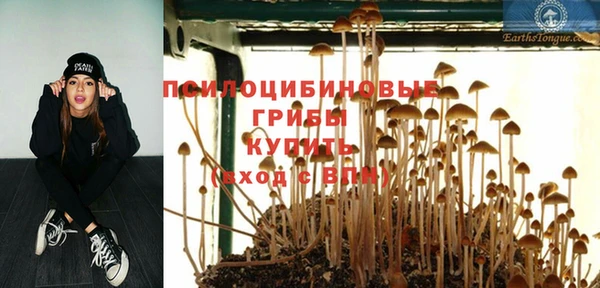 шишки Алзамай